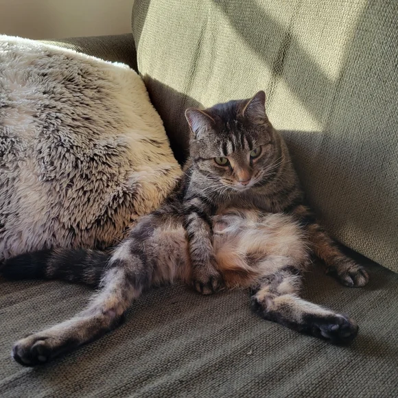 Sz11 Nike Huarache *read description* - Picture 7 of 7